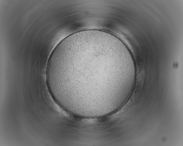 X0000091330810200708171349