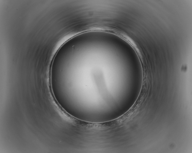 X0000091330811200708171349