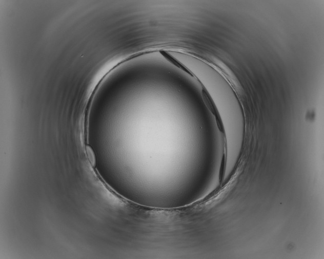 X0000091330812200708171349