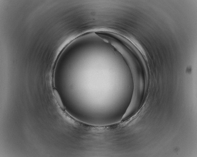 X0000091330813200708171349