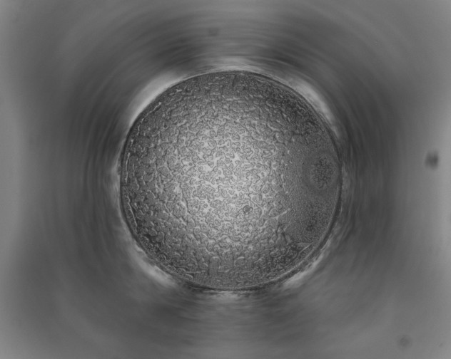 X0000091330814200708171349