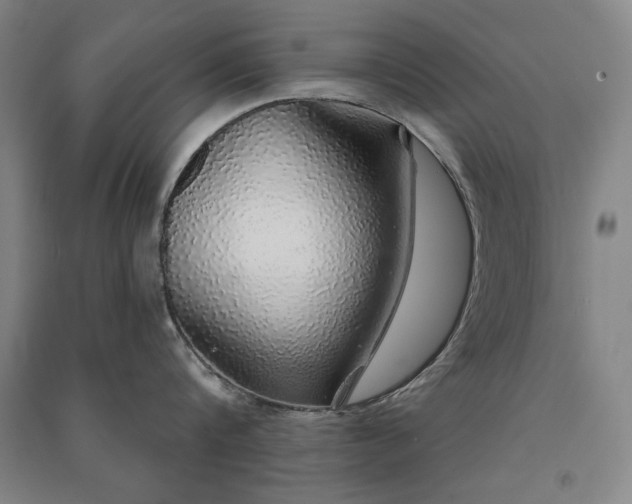 X0000091330816200708171349