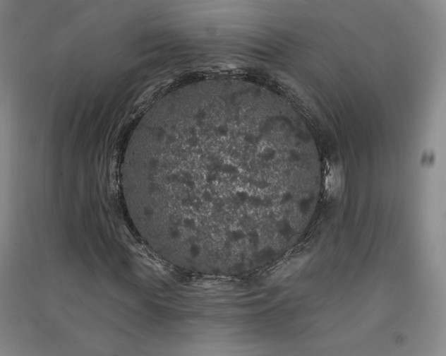 X0000091330819200708171349