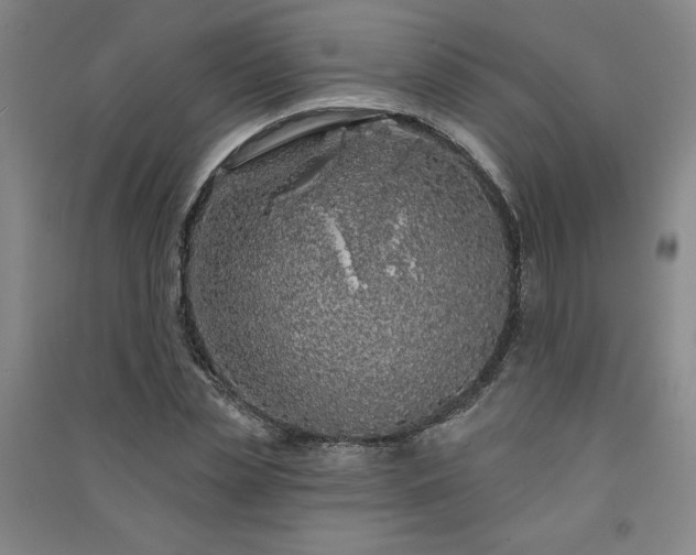 X0000091330829200708171349