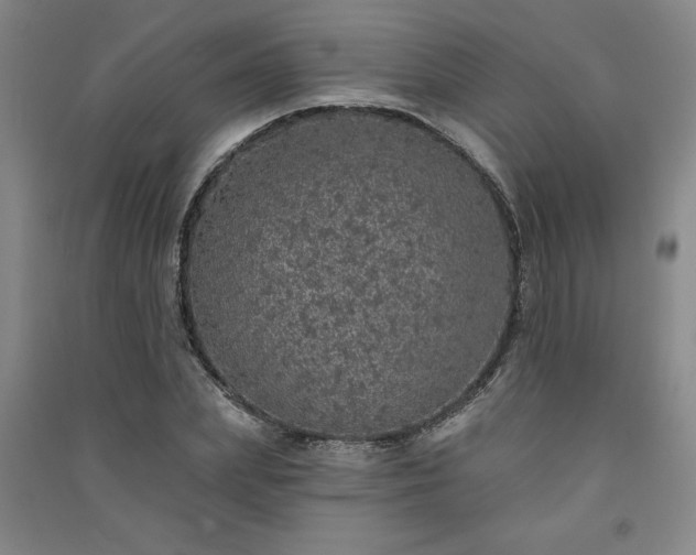 X0000091330831200708171349