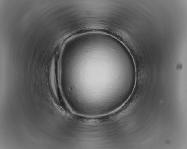 X0000091330833200708171349