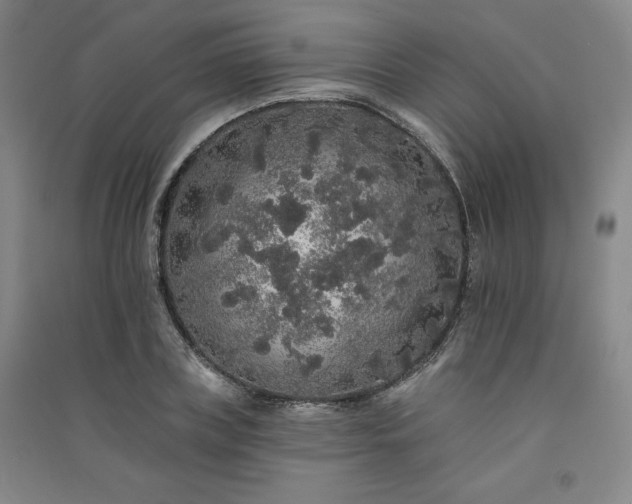 X0000091330835200708171349