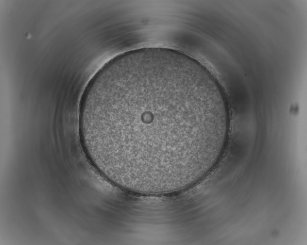 X0000091330836200708171349