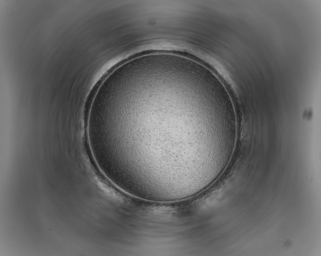 X0000091330837200708171349