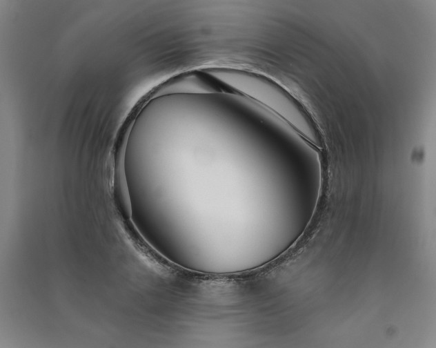 X0000091330838200708171349