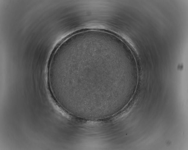 X0000091330840200708171349