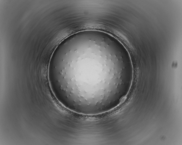 X0000091330841200708171349