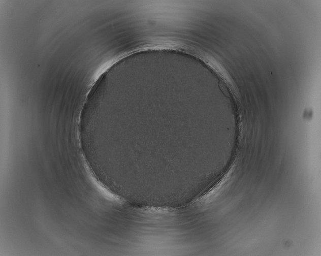 X0000091330842200708171349