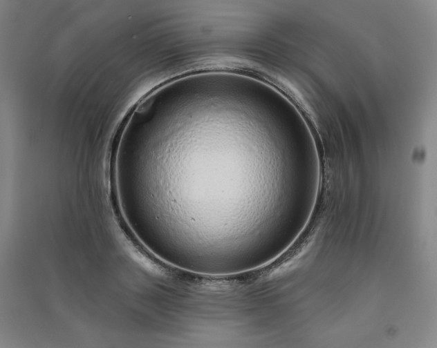 X0000091330843200708171349