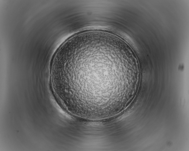 X0000091330844200708171349