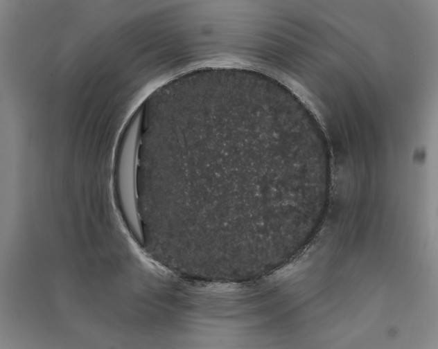 X0000091330845200708171349