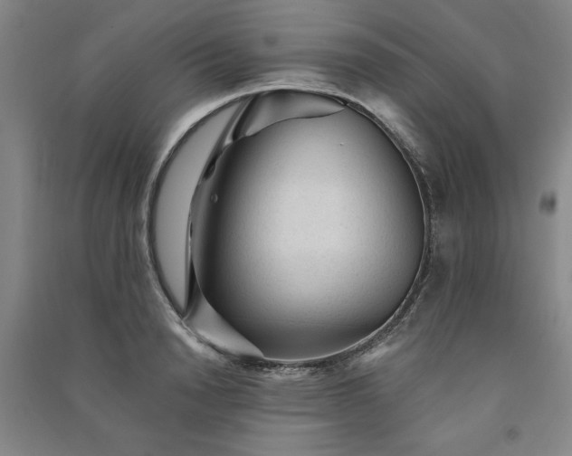 X0000091330846200708171349