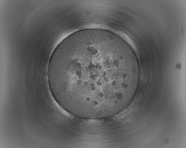 X0000091330847200708171349