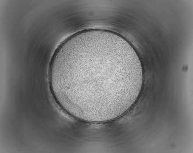 X0000091330848200708171349