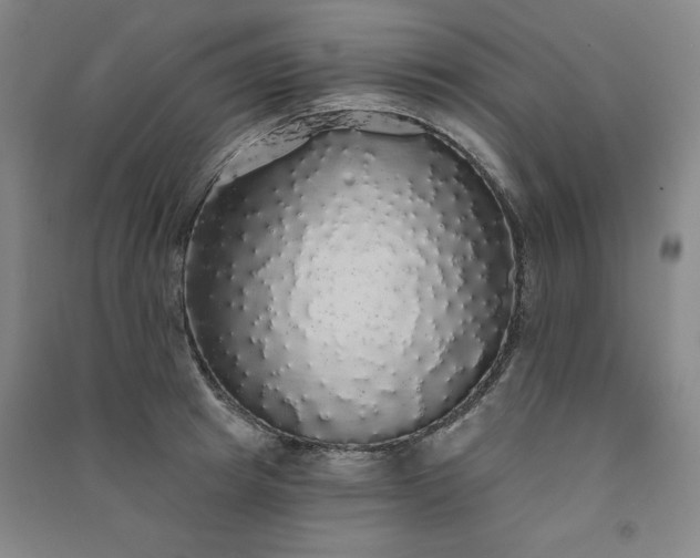 X0000091330849200708171349