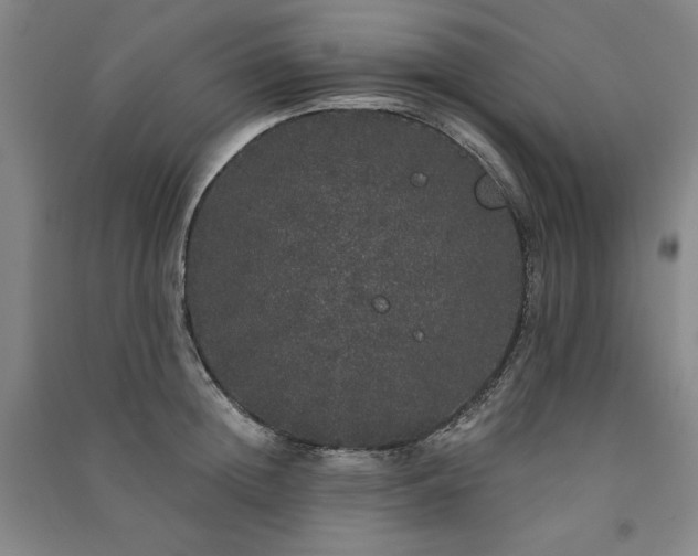 X0000091330852200708171349