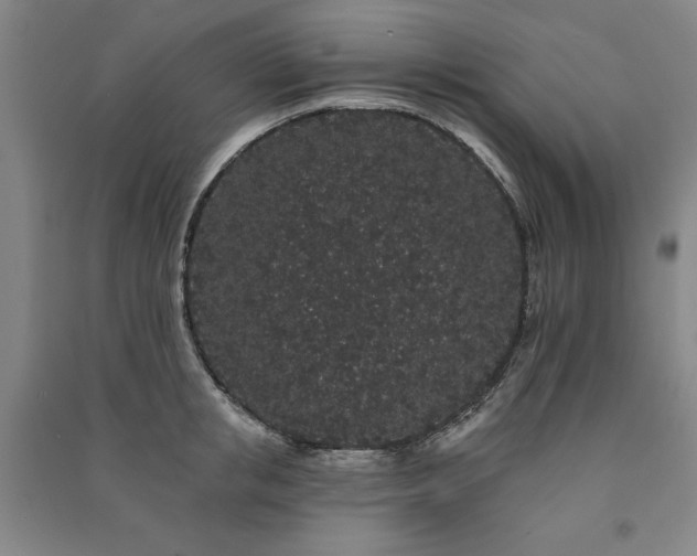 X0000091330853200708171349