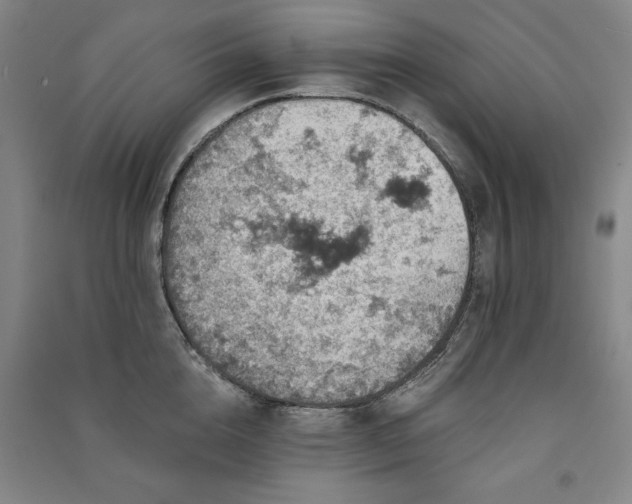 X0000091330856200708171349