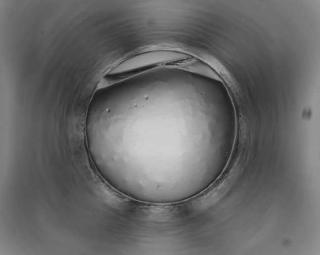 X0000091330857200708171349