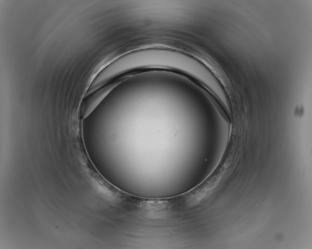 X0000091330858200708171349