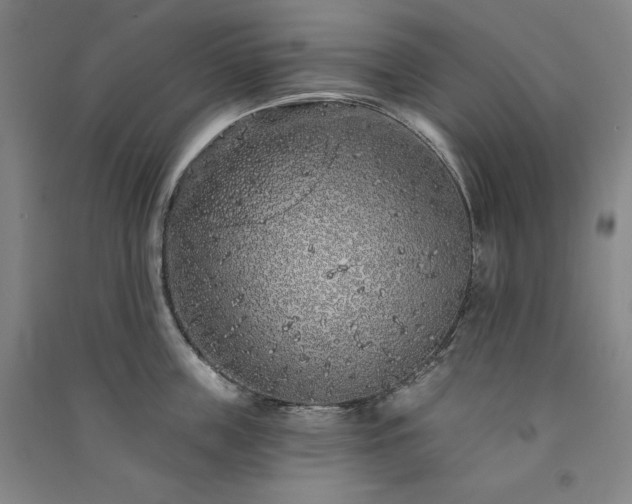 X0000091330859200708171349