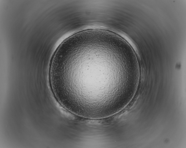 X0000091330861200708171349