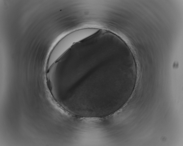 X0000091330864200708171349