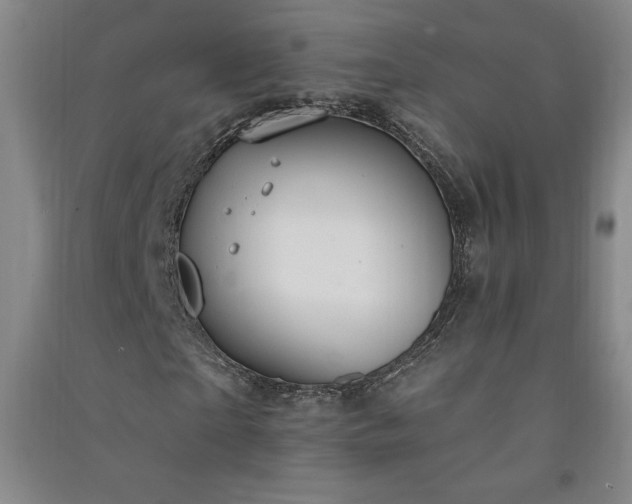 X0000091330865200708171349