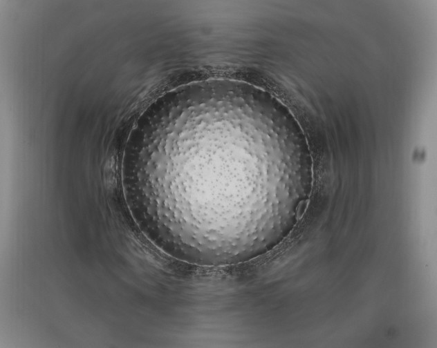 X0000091330866200708171349