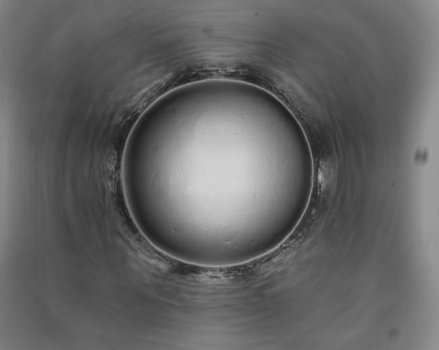 X0000091330867200708171349