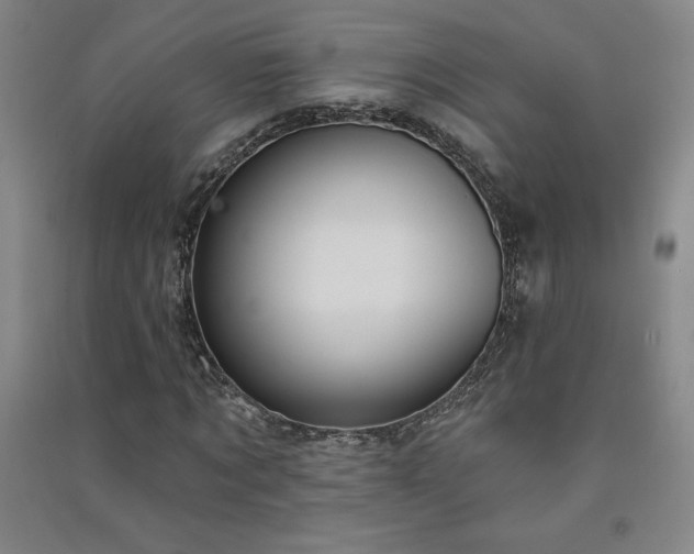 X0000091330869200708171349