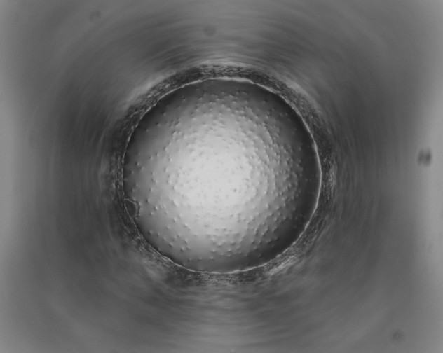 X0000091330870200708171349