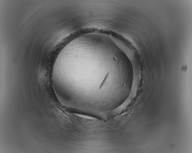 X0000091330872200708171349