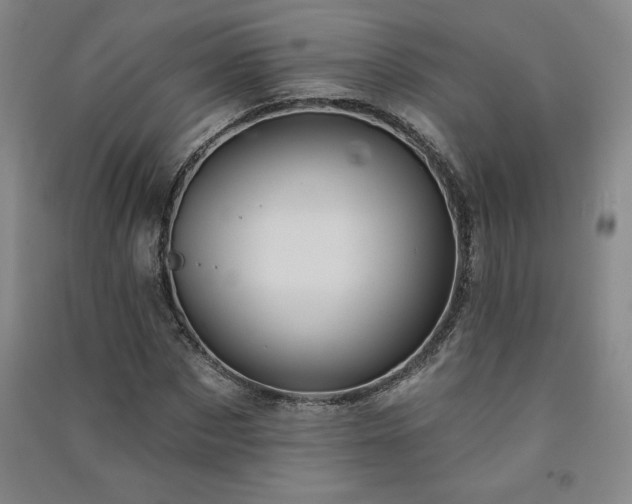 X0000091330873200708171349