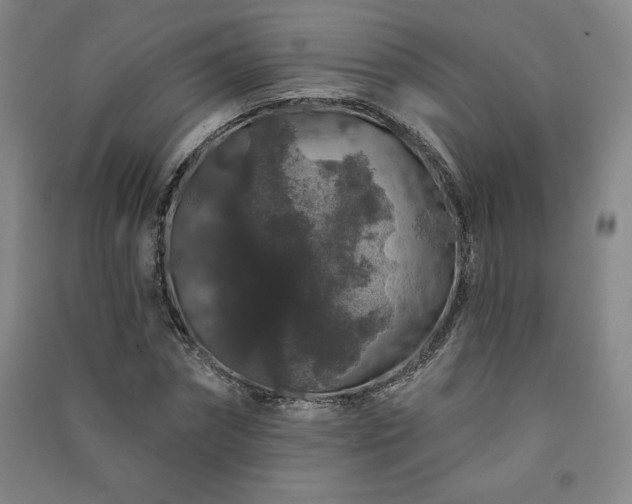 X0000091330874200708171349