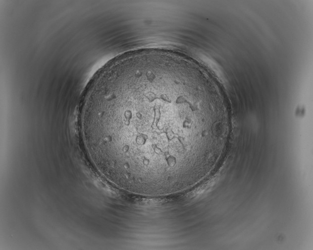 X0000091330875200708171349