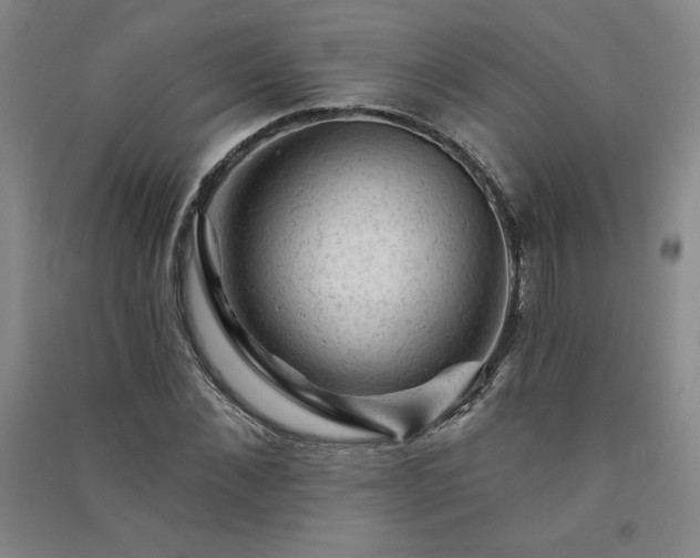 X0000091330876200708171349