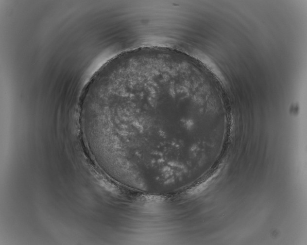 X0000091330878200708171349