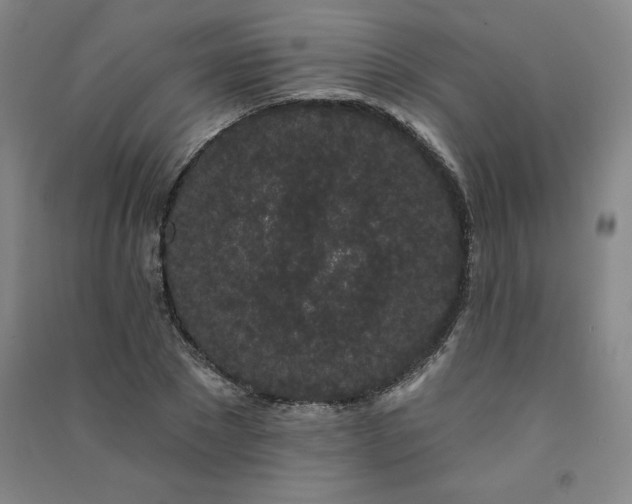 X0000091330881200708171349