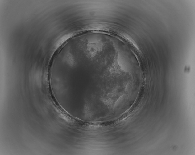 X0000091330882200708171349