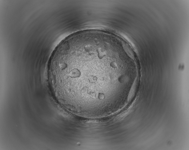 X0000091330883200708171348