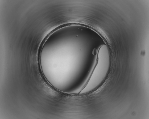 X0000091330884200708171348