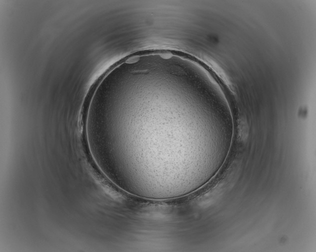 X0000091330885200708171348