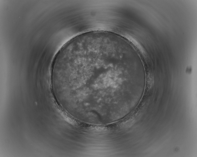 X0000091330886200708171348