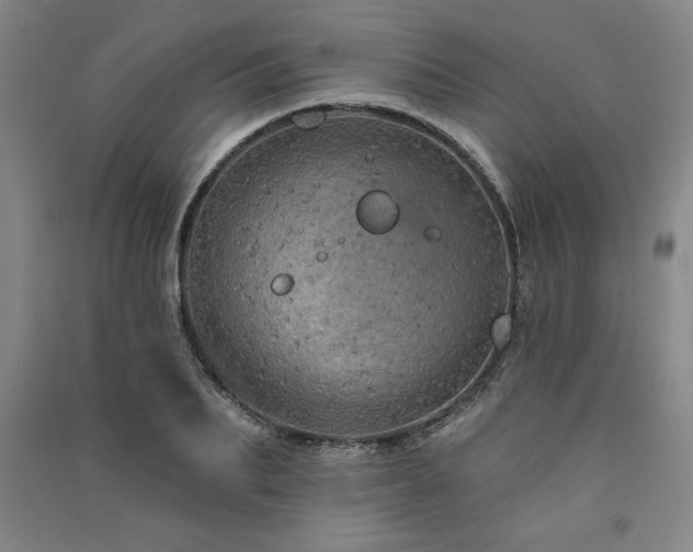 X0000091330887200708171348